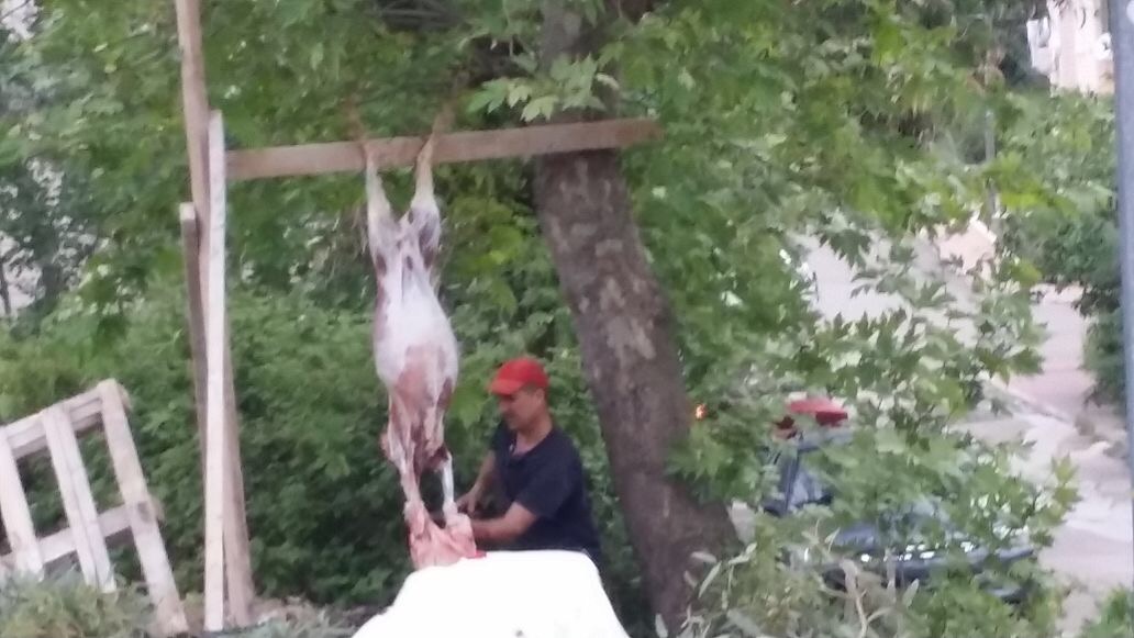 310 Ada 23 Parsel Konut İnşaatı - Görsel 23